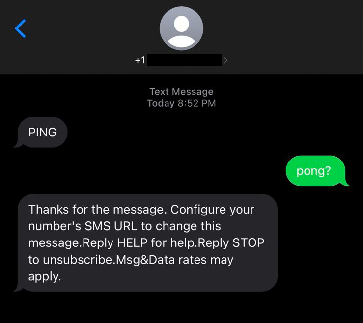 pong.png