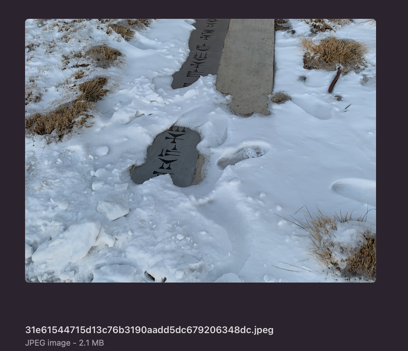 12b767eacf2a3a922c2102f95af7c8e8.png