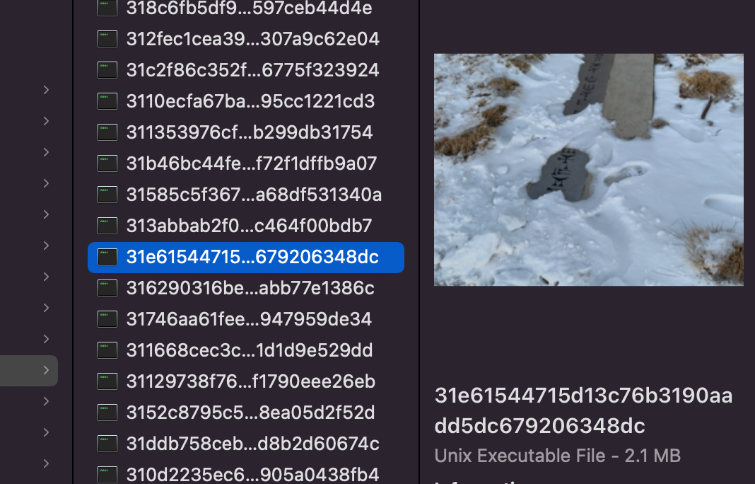 c5ae1aa747d5e568e8b99b3e14d31d9a.png